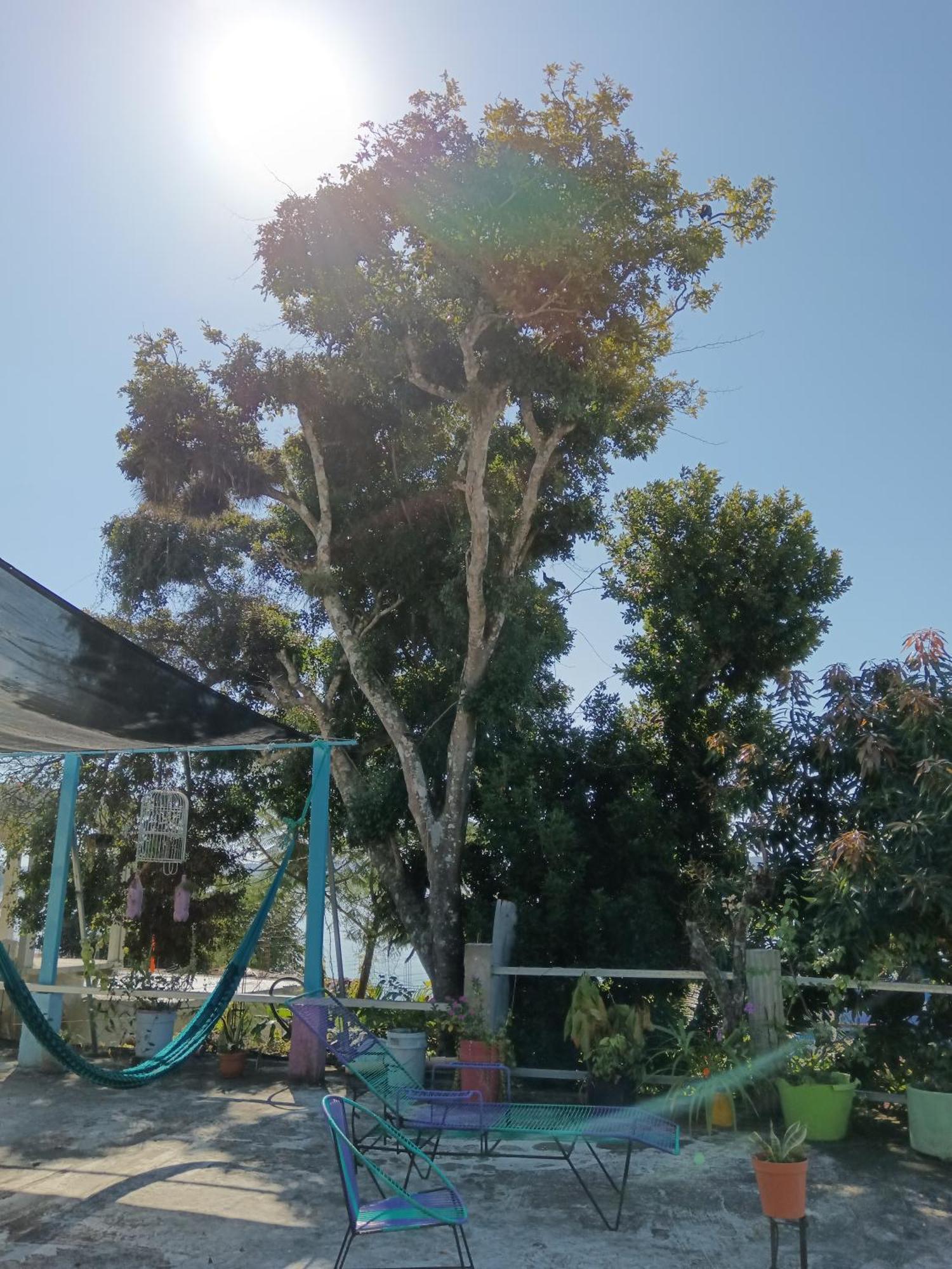 Casa Zoila Hospedaje Frente Al Lago Lakefront Lodging Apartment ฟลอเรส ภายนอก รูปภาพ