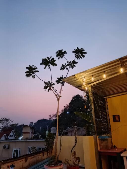 Casa Zoila Hospedaje Frente Al Lago Lakefront Lodging Apartment ฟลอเรส ภายนอก รูปภาพ